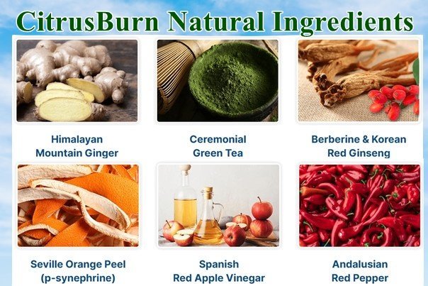 Citrusburn Ingredients
